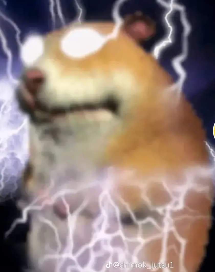 Chomik